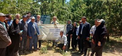 كارگاه آموزشی گذار از باغ سنتی به باغات تجاری بادام؛  توسط عضو هیات علمی پژوهشكده میوه های معتدله و سردسیری در استان قم برگزار شد