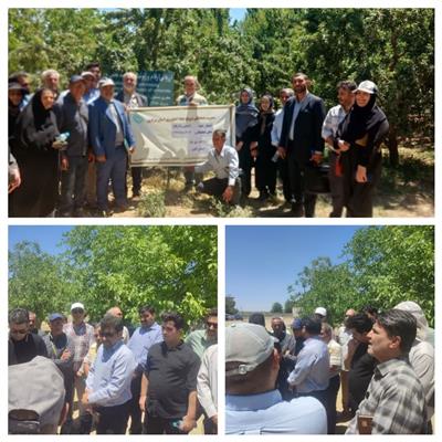 در راستای تحقق شعار سال در سازمان تات<<آموزش و ترویج>>با همكاری پژوهشكده میوه های معتدله و سردسیری تور ترویجی آشنایی با ارقام دیرگل و پربار بادامانجام شد